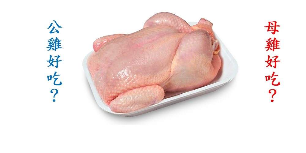 雞肉哪種好吃_圖2 雞肉哪種好吃_圖2